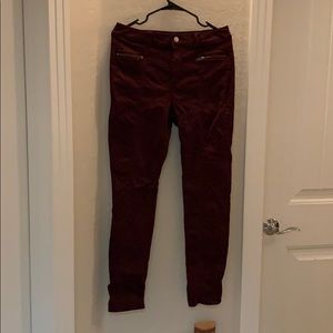 American Eagle Maroon Pants